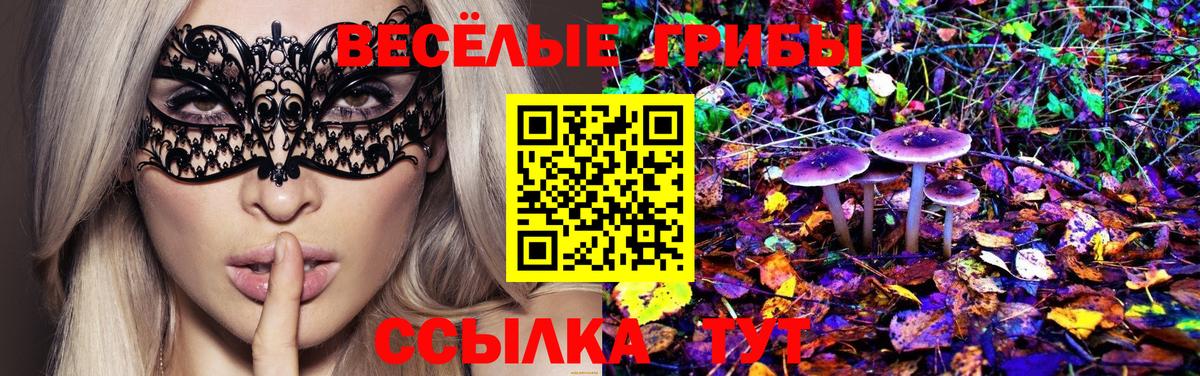 Галлюциногенные грибы прущие грибы Арзамас